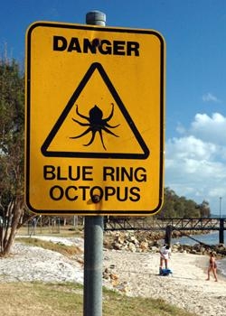 Warning sign "Bluering Octopuses" in Australia