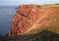 Felskste auf Helgoland