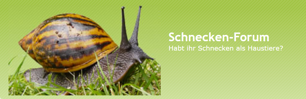 Schnecken-Forum