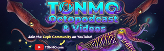 TONMO auf YouTube