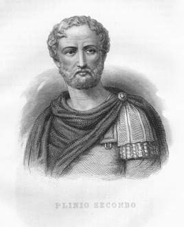Gaius Plinius Secundus (the Elder)