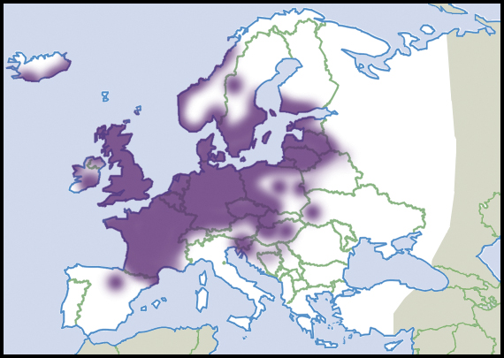 Cepaea hortensis: Verbreitung