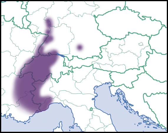 Macularia sylvatica: Verbreitung