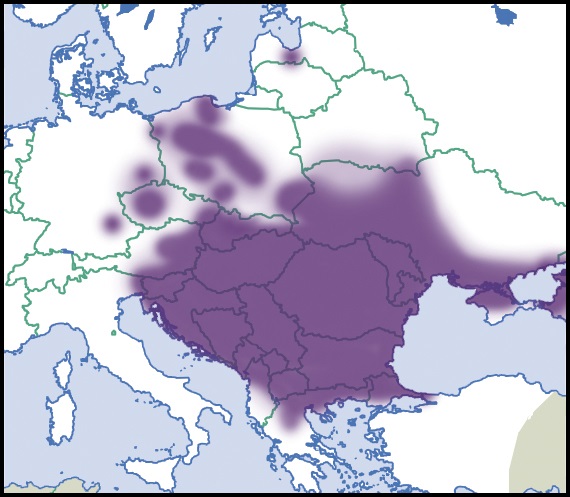 Caucasotachea vindobonensis: Verbreitung