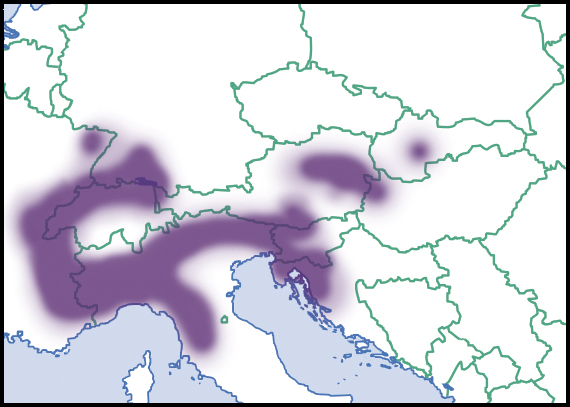 Cochlodina fimbriata: Verbreitung