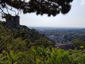 Blick in die Klausen in Mdling