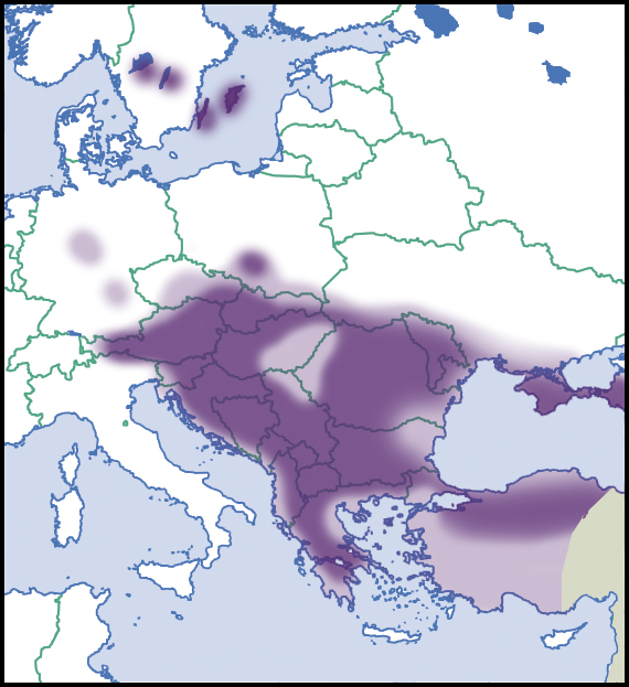 Chondrina arcadica: Verbreitung