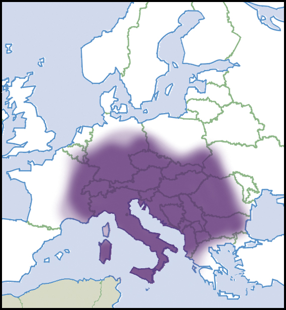 Granaria frumentum: Verbreitung